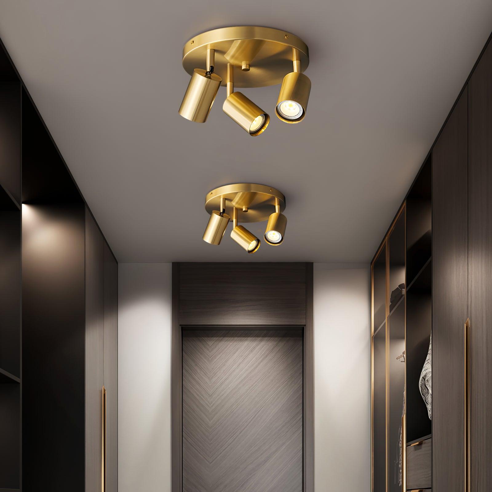 Lumen Adjustable Multi Head Ceiling Light