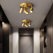 Lumen Adjustable Multi Head Ceiling Light