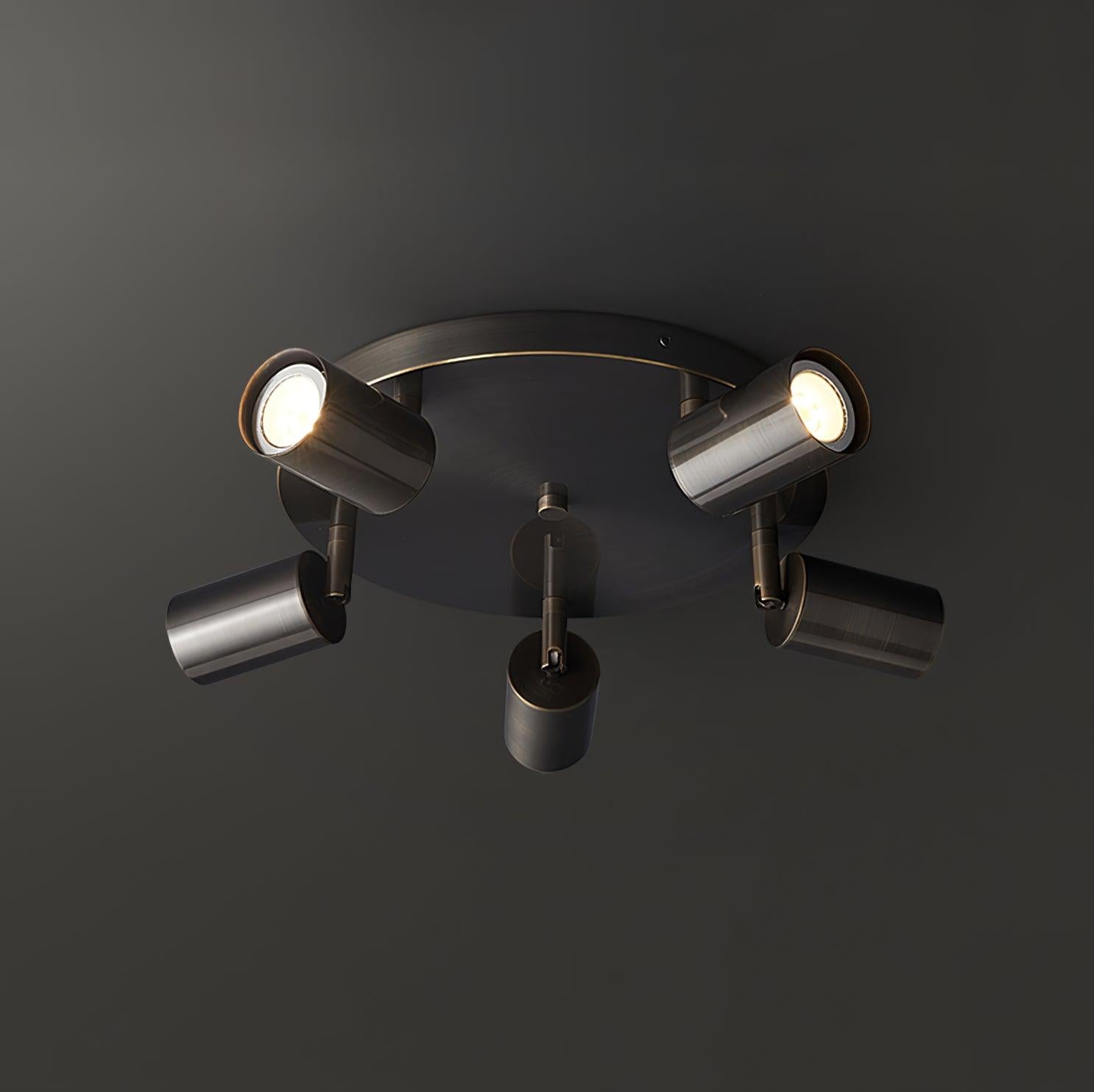 Lumen Adjustable Multi Head Ceiling Light