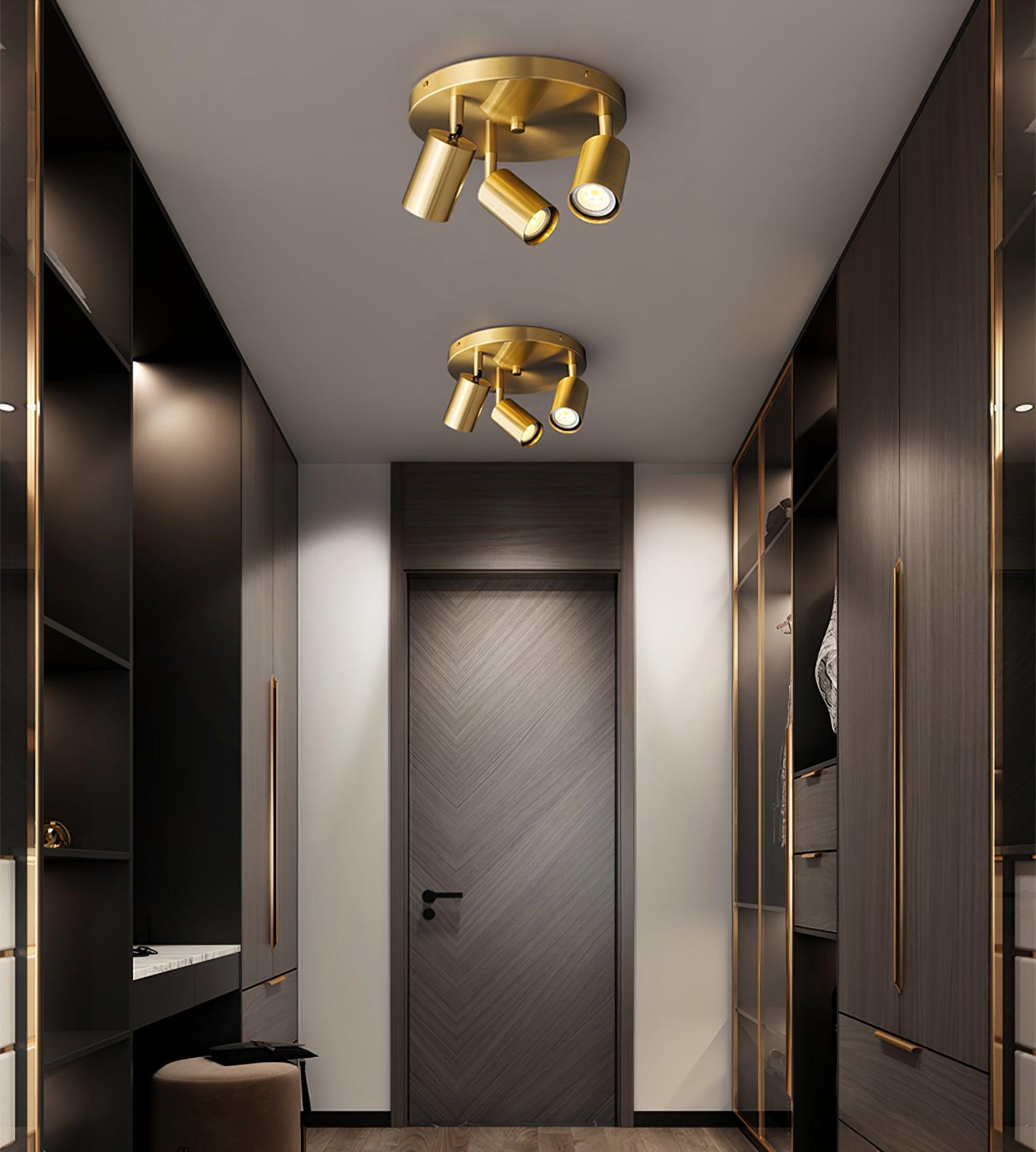 Lumen Adjustable Multi Head Ceiling Light