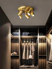 Lumen Adjustable Multi Head Ceiling Light