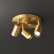 Lumen Adjustable Multi Head Ceiling Light