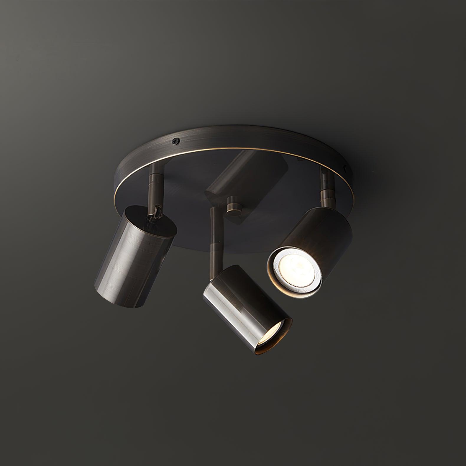 Lumen Adjustable Multi Head Ceiling Light