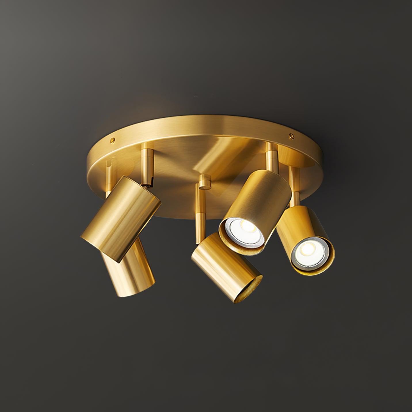 Lumen Adjustable Multi Head Ceiling Light