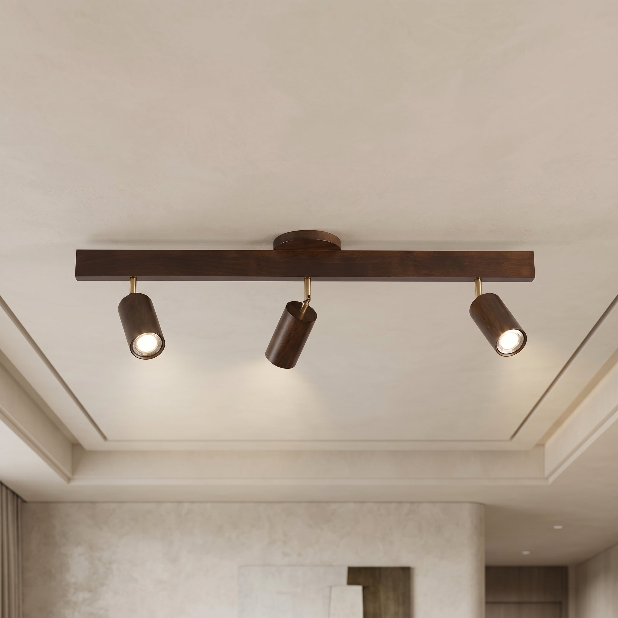 Walnut Merlo wood track lighting with 3 adjustable spotlights mounted on ceiling in neutral hallway with coffered detail