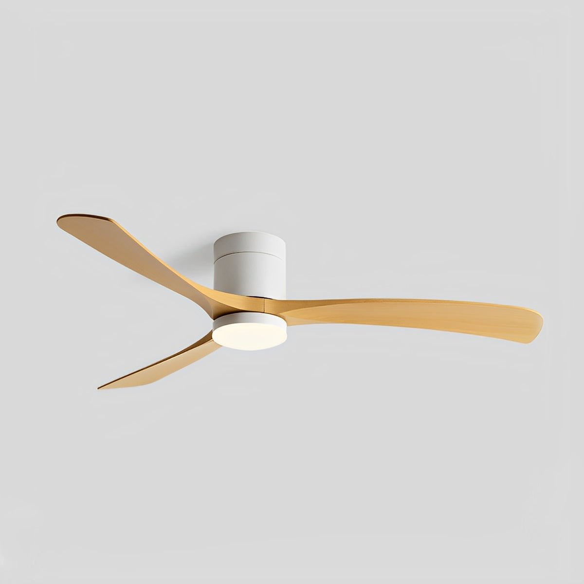 Lumen Contemporary Ceiling Fan Light