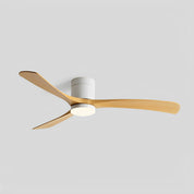 Lumen Contemporary Ceiling Fan Light