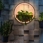 Lumen Illuminated Planter Wall Light